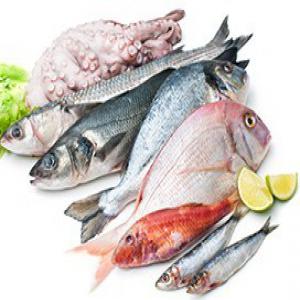  La Cote La Plus Poissoneuse Au Monde - poissons je suis un exportateur franco-mauritanien de tout type de poisson a partir de la c&ocirc;te mauritanienne (la plus poissonneuse au monde)  vers le monde entier .--nous serons ravi de partager les tresors de l'ocean avec vous --