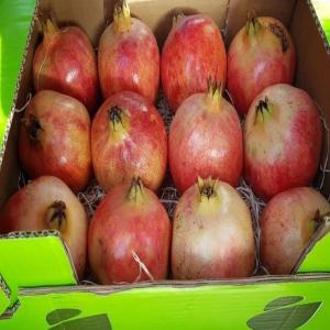  Cherche Clients De Grenadine - fruits et légumes nous annonçons à tous les importateurs et acheteurs grossiste,  que nous possédons de haute qualité de grenadine,  de grand calibre et goût très sucrée,  à des prix compétitif,  n'hésitez pas à demander notre devis détail