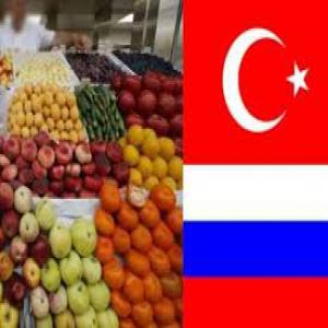  Offres Légumes Et Fruits D'origine Turquie - fruits et légumes bonjour,  j'ai une gamme de fruits et légumes d'origine turquie à proposer- --- piments sivri,  carli,  jalapeno,  chilli,  kil,  chilli,  hot cin --- poivrons - dolma,  ucburun,  kapya,  macar,  --- aubergines & mini-aubergines--- courgettes & mini-courgettes--- concombres--- silor & acura & kel