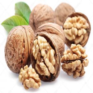  Noix De Grenoble Aoc - fruits secs et graines grillées nuciculteur recherche acheteur de noix de grenoble aop à partir de fin octobre,  noix en troisième année de conversion bio top qualité. 