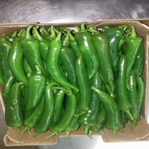  Recherche Client Pour Ognons, Poivron Et Autres - fruits et légumes bonjour, --nous sommes à la recherche de client pour ognons,  poivron,  piment,  courgette noire et autres fruits et légumes. livraison par conteneur (bateau) ou par camion (au choix du client).  --veuillez prendre attache.--