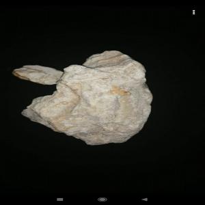  Ambre Gris - autres bonjour je suis a la recherche d un expert ou personne qui achète ambre gris         ------------------------
