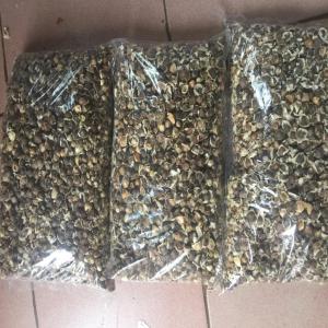  Graines De Moringa - autres connu pour ces propriétés indescriptible parce que multiples,  la graines de moringa est utilisé a plusieurs fin - transformation en huile,  guéri le paludisme,  nourriture pour animaux.--notre devise - satisfait ou rembourser----un échantillon est disponible pour tou