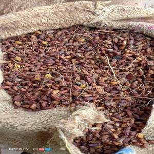  Graine De Neem... Neem Seeds - fruits et légumes nous avons en stock des graines de neem en vente. int&eacute;ress&eacute; veuillez nous &eacute;crire pour plus de d&eacute;tails