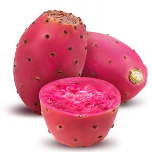  Vinaigre De Figue De Barbarie Bio De Luxe - boissons non alcolisée le vinaigre de figue de barbarie bio est fabriqué selon un procédé naturel sans aucun aditif chimique ou accélérateur.--le jus de fruit de figue de barbarie récupéré,  entame un processus long presque une année de fermentation. la ferment
