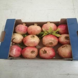  Vente Grenade Variété Gabsi Qualité Garantie!! - fruits et légumes nous sommes un groupe renommé en tunisie. dans le cadre de notre expansion,  nous cherchons des clients en europe pour la vente des grenades de la variété  gabsi  catégorie a (la qualité est assurée). --cette variété est cultivée sous le 