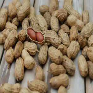  Peanuts For Sale - roasted seeds and nuts peanuts (in fact vegetables) have the most folate of any nuts. --nourishment per ounce- --calories- 170 --fat- 14 grams (2 s,  7 m,  4 p) --protein- 7 grams --other striking supplements- almost 20% of your day by day estimation of niacin and 10% of folate and nutrient e.