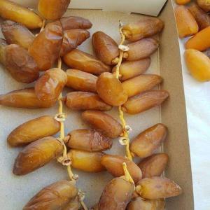  Datte Deglet Nour Tunisie - fruits et légumes dattes deglet-nour tunisienne 🌴--directement de l'agriculteurs d'el faouar gouvernement de kebili célèbre avec les meilleurs types de deglet-nour en tunisie.--tous type disponibles---* deglet-nour branchées--* deglet-nour standard--* deglet-nour dénoyautées