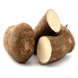  Ignames De Qualité Supérieure - féculents offre de tubercules d'ignace de qualité supérieure produites sur les terres naturellement fertiles de la région centrale du bénin. livraison par tonnage et conditionnées en cartons de 10 kg pour faciliter le transport par avion ou par bateau. 