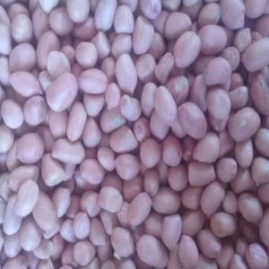  Arachide - autres bonjour nous cherchons des acheteurs arachides chinois pour cette campagne d'arachide ici au sénégal si vous voulez de l'arachide vous pouvez nous contacter merci