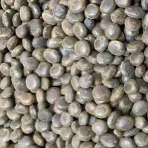  Vente Semences D acacia - semence graine plant vente de semences d acacia- 1kg= 15 000 f cfa. possibilit&eacute; de r&eacute;duction si vous achetez en gros.