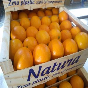  Oranges Jus Origine Espagne - fruits et légumes nous sommes producteurs / exportateurs d oranges a jus espagne - nous servons des clients sur toute l europe + canada . 1er rapport prix qualit&eacute; sur oranges pour machines a jus.