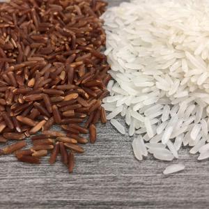  Riz,poivre,cannelle,fruits Tropicaux Déshydratés - céréales bonjour mes chers clients--nous sommes producteur et exportateur des produits agroalimentaires vietnamiens depuis l'année 1980.--nous fournissons des divers de produits -café,  poivre , cannelle,  noix de cajou,  noix de coco déshydratée,  amidon de tapioca etc,  ainsi que les 