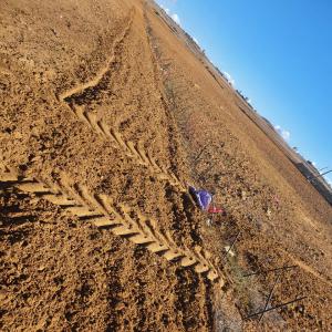  Ferme Vendre - mine terrain concession je mets en vente un terrain agricole nu dans la région de larache,  équipé de bassin et tous ce qui est nécessaire pour l'agriculture,  d'une superficie de 20 hectares,  les intermédiaires s'abstenir 