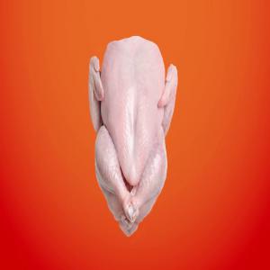  Poulet Surgelèe, Fromage, Cheddar, Frites - viandes et oeufs bonjour,  --nous sommes une sociètè qui peut vous procurer du poulet surgelè grade a selon le type et les tailles souhaitès - ainsi que plusieurs produits tels que du fromage,  du cheddar ou des frites à des prix très competitifs.