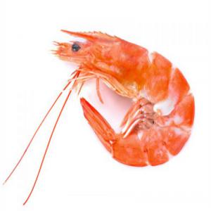  Shrimp,prawn - fish hello!--i'm looking for a client desire to bought from me a tens kilograms of shripms with a good quality fished in mauritania,  who i can send it to him every 10 days!