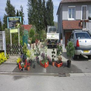  Acheteurs De Vegetaux D'ornement - horticulture plante biocarburant vivaces , graminees et arbres et abustes sont &agrave; disposition et sur commande au siege social de l'entreprise paysagiste tiana jardins &agrave; montreux-vieux 68210
