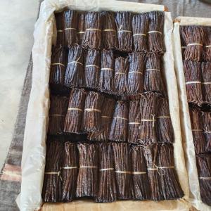  Vanille Rouge/tekka/gourmet De Madagascar - épices aromates industriels et revendeurs, ----toutes nos gammes de vanille vous sont proposées,  de la rouge,  de la tekka et de la gourmet. nos produits sont de qualité avec un arôme raffiné. la vanille rouge est prete pour le marché européen et le marché améric