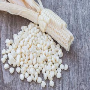  Maïs Banc En Vente. - céréales nous avons du maïs blanc en vente.--quantit&eacute; - 15 tonnes--prix - --140 000 fr la tonne livr&eacute;e a lom&eacute;.--150 000 fr la tonne livr&eacute;e dans une autre ville situ&eacute;e &agrave; l'int&eacute;rieur du togo.--merci.--