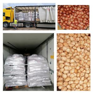  Noisettes Decortiqes Tout Genre - fruits secs et graines grillées bonjour,  nous sommes une ste avec 33 ans d`experience en fabrication de noisettes decortiques. on n a pas autre produit que noisettes et on satisfait les clients avec plus des restriction technique. on offre noisettes depuis azerbaidjan,  turquie ou georgie,  nature,  blanchi,  tranche,  farine de noiset