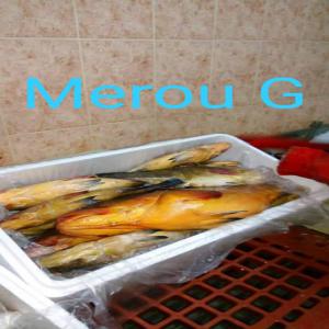  Poissons Frais Fols Abea, Daurade, Badge - poissons bonjour --nous sommes fournisseur de poissons frais sauvage peche traditionnelle origine la mauritanie--livraison quotidienne tous les jours de l'année par avion.--nous vous assurons les meilleurs prix--fols abea,  badge g,  thiof g,  merou g,  sole de roche,  roquera,  rascasse ...--nos prix sont 