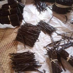  Producteur Et Fournisseur Des Arômes,épices Bio - autres nous pouvons fournir des produits locaux tels que les ar&ocirc;mes et &eacute;pices bio provenant de madagascar vanille tk et bourbon noir non fendue avec taux vanilline 1.2% &agrave; 1.9%, taux d'humidit&eacute; 25% &agrave; 35%,  de longueur 14cm  &agrave; 19cm,  petite &agrave; moyenne quantit&eacut