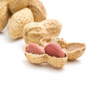  Arachides 2020/2021 - fruits secs et graines grillées société , a une grande quantité des arachides propres et d'une excellente qualité d’afrique à des prix très intéressant.nous recherchons donc de clients sérieux ,  nous propose des d’arachides décortiquée sur le territoire sé