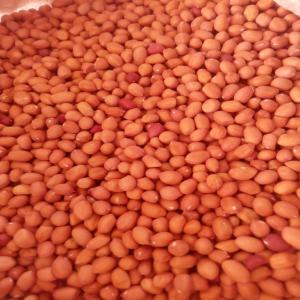  Arachides Bio, D'excellente Qualité D'afrique - céréales capacité de fournir actuellement plus de  30.000 tonnes d'arachides bio ,  propres et d'excellente qualité disponible en afrique au burkina faso.--