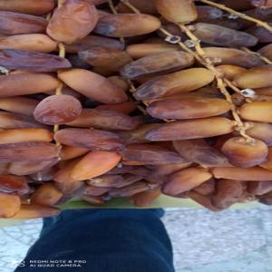  Dattes Fraîches Algérie 2020 - fruits et légumes bonjour,  je mit en vente la dattes fra&icirc;ches deglet noor algerien de la nouvelle ricolte 2020 possibilit&eacute; d export&eacute; vers tous l europe quantit&eacute; mini 10 t &agrave; un prix extraordinaire.--1er choix 2.60  --1 &egrave;re choix moyen 2.25--3arjoune 1 &egrave;me choix luxe 3.20