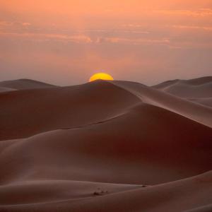  Résine De Pin - matiere vegetale bonjour, --je cherche pour achat de la.resine de pin et de la gomme de dammar.--merci 
