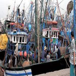  Recherche Bateau Pêche Cotières - equipement maritime pour nos besoins de matières premières de pèche tels que la sardine le maquereaux et le thon en général--nous recherchons des bateaux  opérationnels en fonctionnement pour commencer à travailler rapidement .--nous sommes ouverts a toutes propositions 