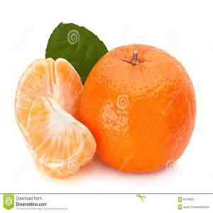  Courtage Fruit Et Légumes D'origine Marocain 100% - fruits et légumes societe d'import/export courtage et transport international/nationalde tous types de fruits et legumes frais et/ou conditionn&eacute; avec option de prendre en main tous demarche soit administrative li&eacute; a la legislation  soit au d&eacute;douanement et autre seras prise par notre soci&eacute;t