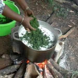  Fruits Et Légumes - fruits et légumes bonjour,  --je recherche des fournisseurs en fruits et l&eacute;gumes et bananes et manioc ( tous les produits tropicaux) pour livraison dans l'oc&eacute;an indien territoire de mayotte . pour communiquer et travailler ensemble dans ce domaine . je vous remercie de votre compr&eacute;hension.
