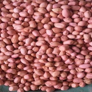  Peanuts Of Senegal - roasted seeds and nuts company,  has a large quantity of clean and excellent quality peanuts from africa at very attractive prices. we are therefore looking for serious customers,  we are offering shelled peanuts on senegalese territory.  contact me by e-mail at whatsup (senegal)