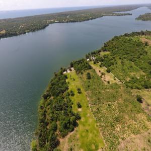  Terrain Et Terre Agri En Vente En Côte D'ivoire - autres plusieurs terrains de petites,  moyennes,  et grandes superficies am&eacute;nag&eacute;s ou plantations agricoles &agrave; vendre en c&ocirc;te d'ivoire,  pour projet immobilier ou exploitation agricole ou autres. 
