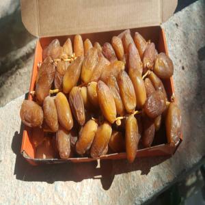  Datte D'algérie - fruits et légumes dattes(degla) de très bonnes qualités origine tolga wilaya de biskra (algérie),  possible envoi vers n'importe quel port. prix très attractifs selon les quantités souhaitées.