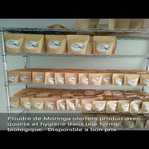  Vente: Poudre Et Huile De Moringa Du Sénégal - matiere vegetale moringa est produit au sénégal dans une ferme agrécologique. un système de transformation et de conditionnement avec hygiène et qualité. on dispose ainsi de la poudre de moringa mise en sachet et en gélules avec de l'huile à  côté.