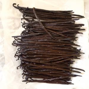  Supplier Of Best Vanilla Beans From Madagascar - aromatic spices located in the sava madagascar region,  known as the home of the best vanillas in the world,  we are a vanilla beans planter,  collector and preparer for several years. we have perfect control over the quality of vanilla and can provide you with all types of qualities at very competitive prices,  accord
