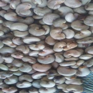  Sénégal Vente De Noix De Cajou - fruits secs et graines grillées nous sommes à la recherche d'acheteurs de noix de cajou de bonne qualité à bon prix. veillez me contacter si vous etes intéressé --caractéristiques---noix de cajou brute dans la coquille--récolte 2020--origine sénégalaise--nombre de noix