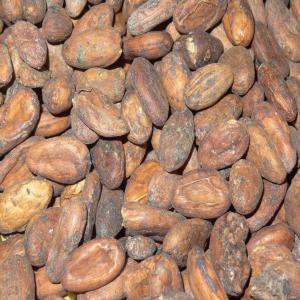  Producteur De Cacao Et Café - café cacao thé nous,  produisons 150t de cacao et 100t de café arabica. nous cherchons des acheteurs avec qui créer une relation de confiance. nous pouvons fournir du beurre de cacao,  de la poudre et de la masse (liqueur) de cacao. les prix sont défini en fonction des quantités.