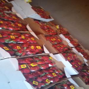  Fruits Rouge En Très Bon Qualité En Stock - fruits et légumes on vend des fruits 100% bio et en bon qualité. produit du ferme et de notre production pas de deuxième main.