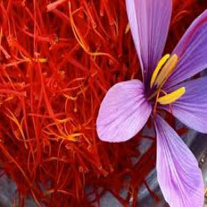  Safran De Mizrana - épices aromates le safran est un safran bio,  cultivé dans la région de mizrana (algerie).--une quantité d'environ 8 grammes est disponible.--pour plus d'information veuillez contacter 