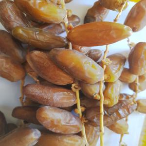  Export Des Datte Tunisienne - fruits et légumes chers,  notre soci&eacute;t&eacute; situ&eacute;e dans la zone de production des palmier dattie nous avons des quantit&eacute;s consid&eacute;rables de la meilleure qualit&eacute; des dattes tunisiennes connues aussi sous le nom de deglet nour,  pretes &agrave; etre export&eacute;es pour tous les pays