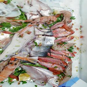  Poissons Et Fruit De Mer De La Tunisie - poissons nous sommes une unité agrée par ue sous n° 158 --on exporte par avion ou bateau des poissons et fruit mer frais .congelé et transformer pour plus d'information n'hésitez pas a nous contacter 