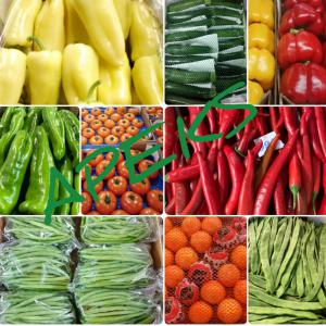  Production Fruits Et Légumes - fruits et légumes nous sommes une soci&eacute;t&eacute; marocaine sp&eacute;cialis&eacute;e dans l'exportation des fruits et l&eacute;gumes,  la soci&eacute;t&eacute; propose une large gamme de produits de haute qualit&eacute; avec des prix raisonnable.--nous sommes &agrave; la recherche des clients int&eacute;ress&ea