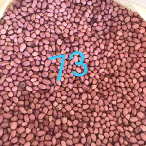  Arachides - matières grasses je suis &agrave; la recherche de partenaires pour la  campagne d'arachide 2020-2021.si vous etes int&eacute;ress&eacute; veuillez me contacter