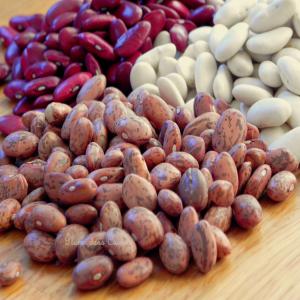  Grains Secs - fruits secs et graines grillées bonjour,  ------nous sommes des importateurs de l'île de la réunion présents sur le marché depuis plusieurs années et travaillons avec des fournisseurs malgaches sur divers produits depuis 12 ans. ------nous souhaitons commercialiser notre propre marque de grains sec