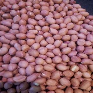  Peanuts, Sésames, Shea Selling - cereals hello,  i'm from burkina faso and i'm looking for partners to export peanuts,  shea,  sésame,  beans in quantity.--anyone interested can contact me on email or by my facebook page which is   faso agricols business 