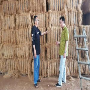  Fibre De Coco D'indonesie - matiere vegetale fibre de coco de bonne qualite disponible en grande quantite--possibilite d'exportation partout dans le monde ----merci de bien vouloir nous contacter pour plus de details