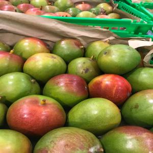  Mangue Keitt Parfumée, Juteuse Et Tendre - fruits et légumes mangue bio variété keitt conditionnée dans des cartons 4kg calibre 9/10. parfumée,  juteuse et tendre. si vous etes intéressé n'hésitez pas à nous contacter. merci 